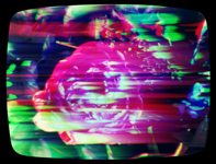0041