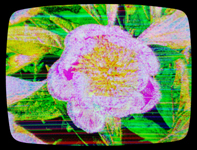 0144