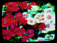 0211