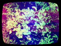 0820